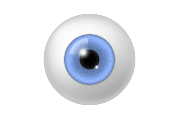 Download Realistic Human Eyeball. Anatomy Blue Ey - Eyeball Collection